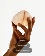 DOPAMINE INGREDIENTS_