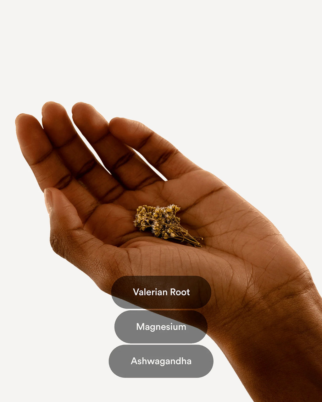 Valerian Root with labels for Magnesium and Ashwagandha 